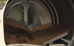 Dryer Melts but Pizza Box Lives at Duke University