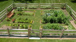 Gorgeous Fenced Vegetable Garden