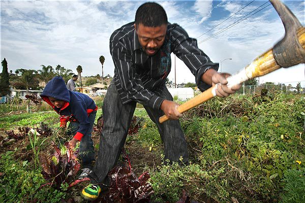 San Diego Wants to Turn Vacant Lots Into Gardens