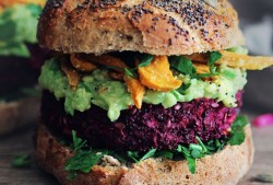 Easy Vegan Recipes All of Us Should Know