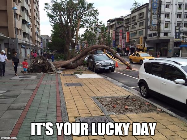 It’s your lucky day