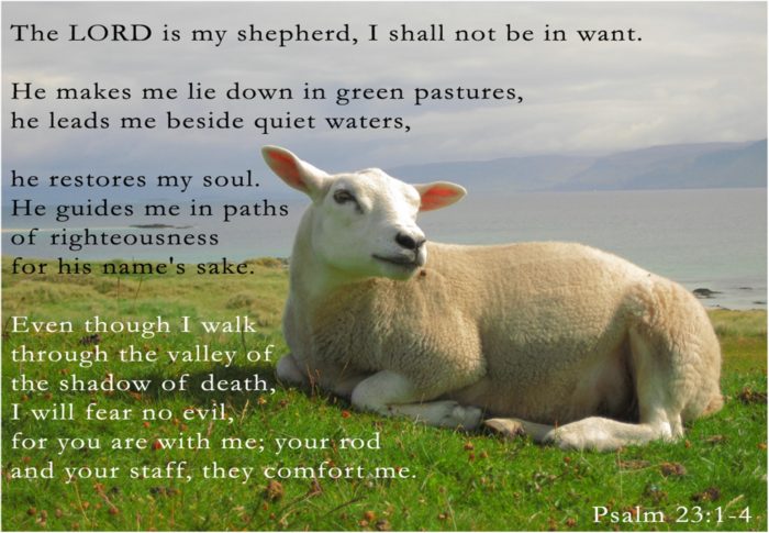 Psalm 23 | Lord is My Shepherd