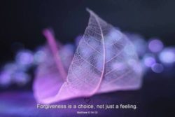 Forgiveness is a choice, not just a feeling