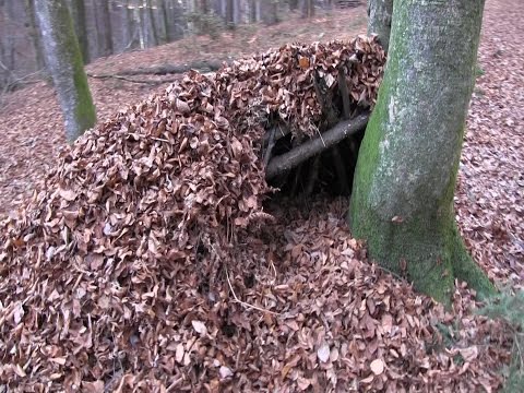 Construct Survival Shelter with All Natural Materials
