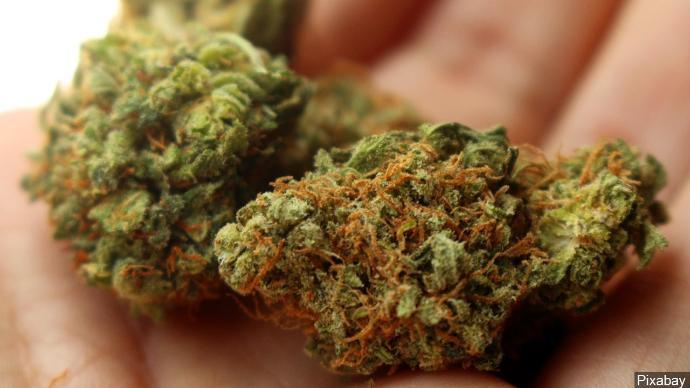 Do New York lawmakers really wanna legalize marijuana?