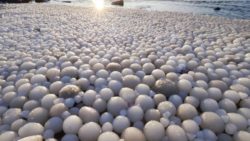 Beach in Finland is covered with crazy ice eggs