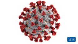 67 new positive coronavirus cases in Oneida County New York