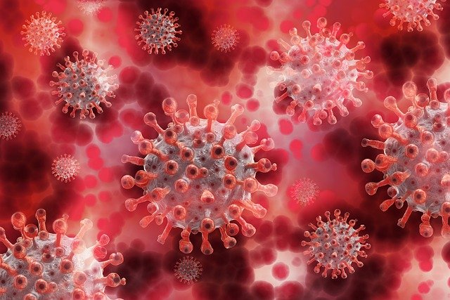 Allison Aubrey on NPR: Risk of contracting Coronavirus is exceedingly low