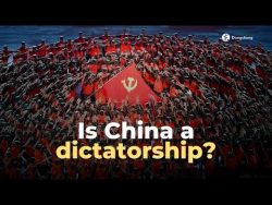 China’s political system explained